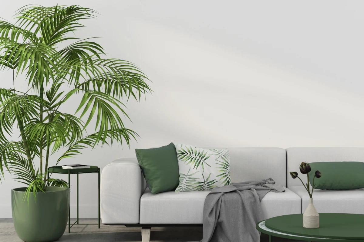 Pomieszczenie z szarą kanapą na tle białej ściany. Poduszka zielona na kanapa oraz druga poduszka z motywem roślinnym. Obok kanapy stoi zielony stolik oraz zielona donica z dużym kwiatem.